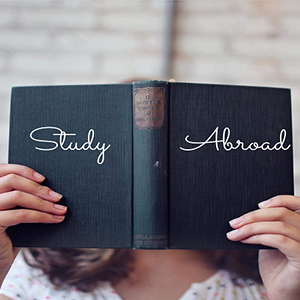 All the factors that influence a student's decision to study abroad